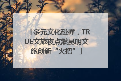 多元文化碰撞，TRUE文旅夜点燃昆明文旅创新“火把”