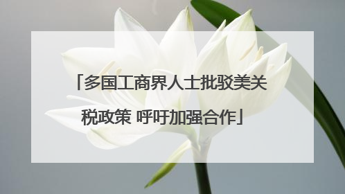 多国工商界人士批驳美关税政策 呼吁加强合作