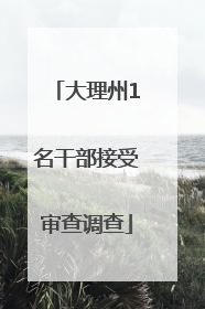 大理州1名干部接受审查调查