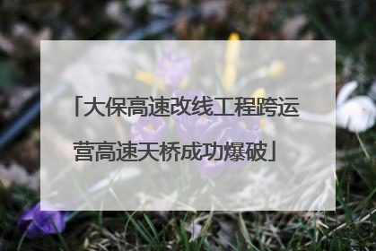 大保高速改线工程跨运营高速天桥成功爆破