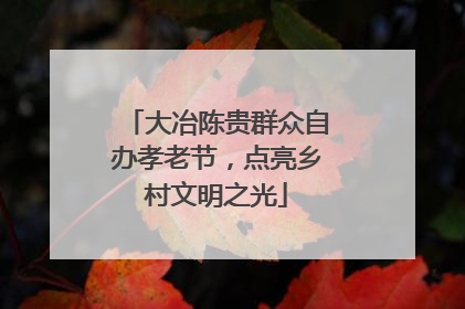 大冶陈贵群众自办孝老节，点亮乡村文明之光