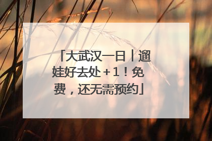 大武汉一日︱遛娃好去处＋1！免费，还无需预约