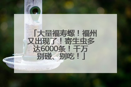 大量福寿螺！福州又出现了！寄生虫多达6000条！千万别碰、别吃！