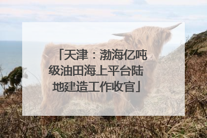 天津：渤海亿吨级油田海上平台陆地建造工作收官