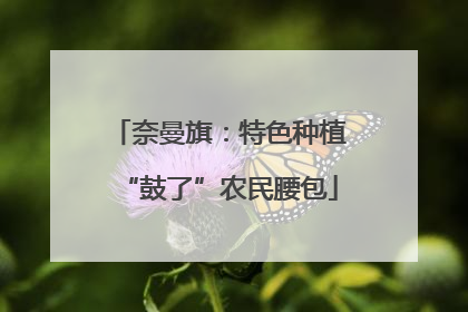 奈曼旗：特色种植“鼓了”农民腰包