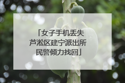 女子手机丢失 芦淞区建宁派出所民警倾力找回