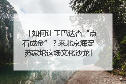 如何让玉巴达杏“点石成金”？来北京海淀苏家坨这场文化沙龙