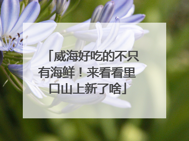 威海好吃的不只有海鲜！来看看里口山上新了啥