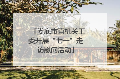 娄底市直机关工委开展“七一”走访慰问活动