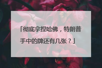 彻底拿捏哈佛，特朗普手中的牌还有几张？