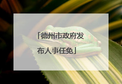 德州市政府发布人事任免