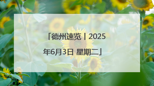 德州速览丨2025年6月3日 星期二