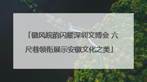 徽风皖韵闪耀深圳文博会 六尺巷领衔展示安徽文化之美