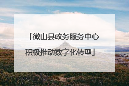 微山县政务服务中心积极推动数字化转型