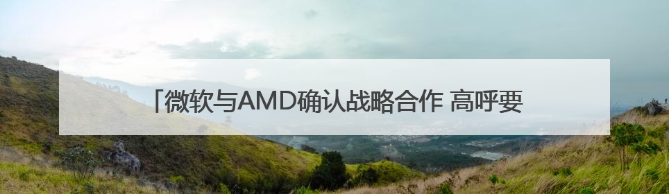 微软与AMD确认战略合作 高呼要让Windows成为头号游戏平台