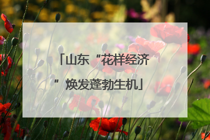 山东“花样经济”焕发蓬勃生机