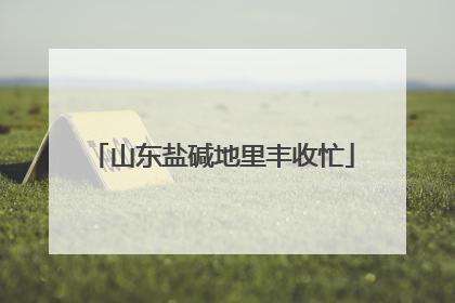 山东盐碱地里丰收忙