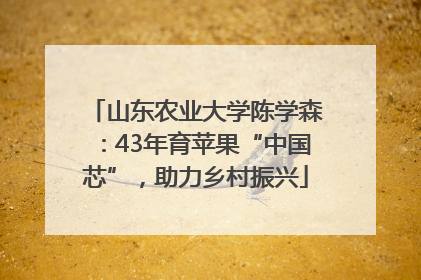 山东农业大学陈学森：43年育苹果“中国芯”，助力乡村振兴