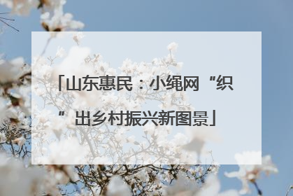 山东惠民：小绳网“织”出乡村振兴新图景