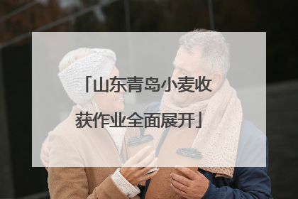 山东青岛小麦收获作业全面展开
