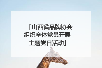 山西省品牌协会组织全体党员开展主题党日活动