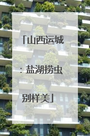 山西运城：盐湖捞虫别样美