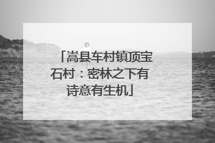嵩县车村镇顶宝石村：密林之下有诗意有生机