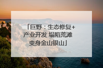巨野：生态修复+产业开发 塌陷荒滩变身金山银山