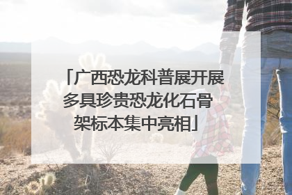 广西恐龙科普展开展 多具珍贵恐龙化石骨架标本集中亮相