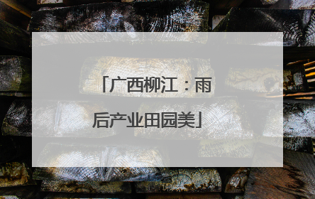 广西柳江：雨后产业田园美