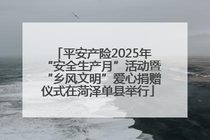 平安产险2025年“安全生产月”活动暨“乡风文明”爱心捐赠仪式在菏泽单县举行