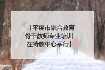 平度市融合教育骨干教师专业培训在特教中心举行