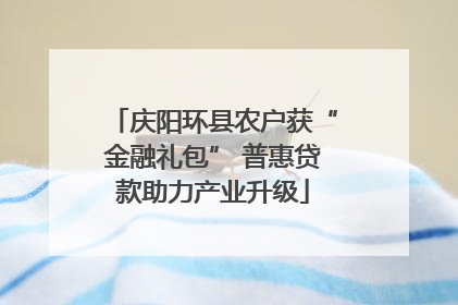 庆阳环县农户获“金融礼包” 普惠贷款助力产业升级