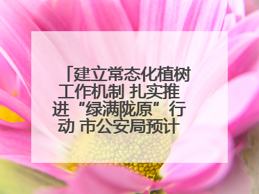 建立常态化植树工作机制 扎实推进“绿满陇原”行动 市公安局预计年底前完成1402亩绿化任务
