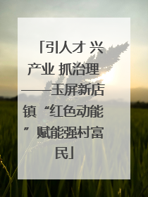 引人才 兴产业 抓治理——玉屏新店镇“红色动能”赋能强村富民