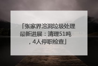 张家界溶洞垃圾处理最新进展：清理51吨，4人停职检查