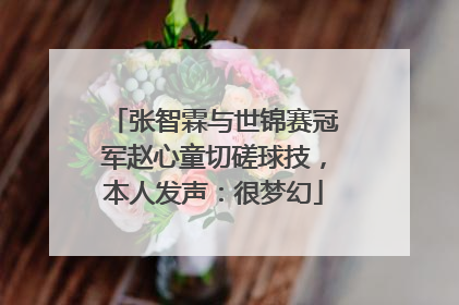 张智霖与世锦赛冠军赵心童切磋球技，本人发声：很梦幻