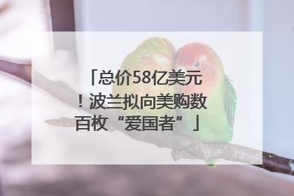 总价58亿美元！波兰拟向美购数百枚“爱国者”