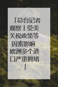 总台记者观察丨受美关税政策等因素影响 欧洲多个港口严重拥堵