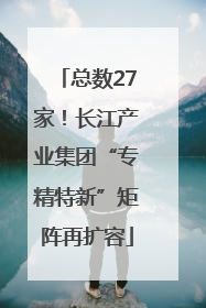 总数27家！长江产业集团“专精特新”矩阵再扩容