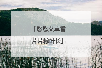悠悠艾草香 片片粽叶长