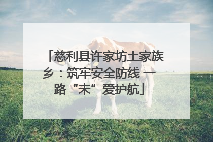 慈利县许家坊土家族乡：筑牢安全防线 一路“未”爱护航