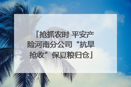 抢抓农时 平安产险河南分公司“抗旱抢收”保夏粮归仓