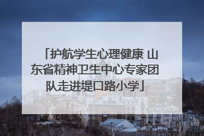 护航学生心理健康 山东省精神卫生中心专家团队走进堤口路小学