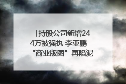 持股公司新增244万被强执 李亚鹏“商业版图”再陷泥潭？｜科技观察