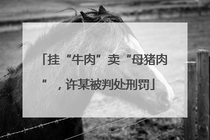 挂“牛肉”卖“母猪肉”，许某被判处刑罚