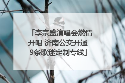 李宗盛演唱会燃情开唱 济南公交开通9条歌迷定制专线