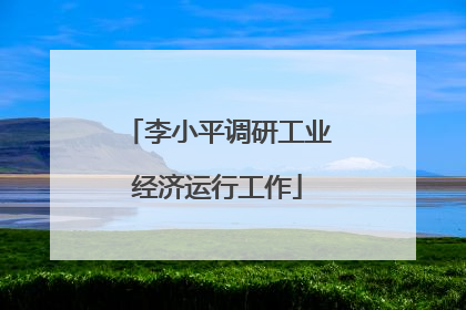 李小平调研工业经济运行工作