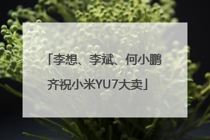 李想、李斌、何小鹏齐祝小米YU7大卖