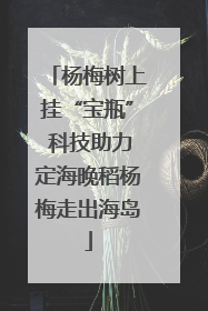 杨梅树上挂“宝瓶” 科技助力定海晚稻杨梅走出海岛